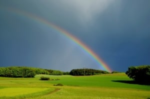 A picture of a pasture in upstate new york after a thunderstorm with a rainbow in the sky, this image is used to teach about the weather in Spanish language instruction NYC