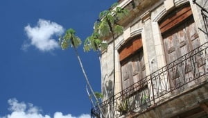 A tropical balcony in Latin America